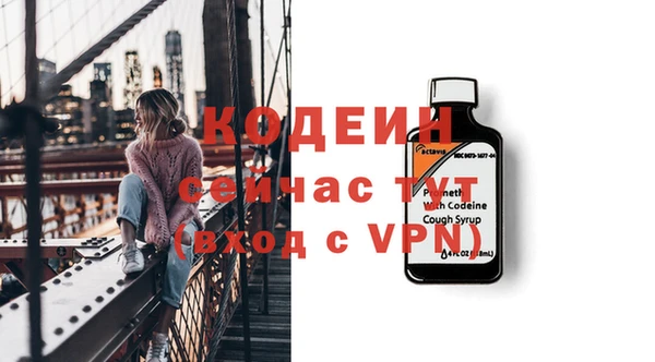 индика Баксан