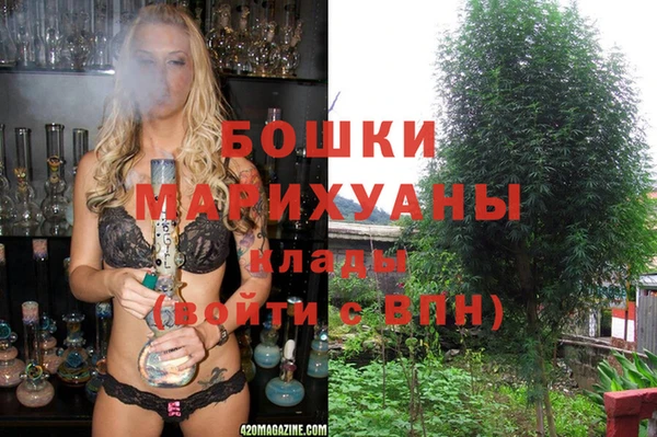 индика Баксан