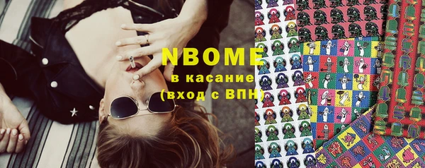 индика Баксан