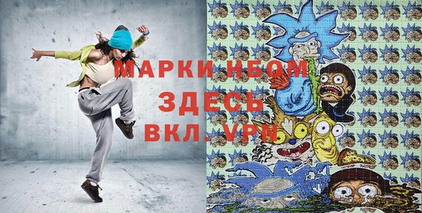 индика Баксан