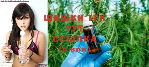 индика Баксан