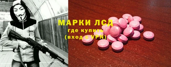 индика Баксан